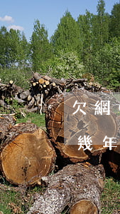 欠網(wǎng)貸50萬(wàn)要判幾年(欠網(wǎng)貸50萬(wàn)死了算了)