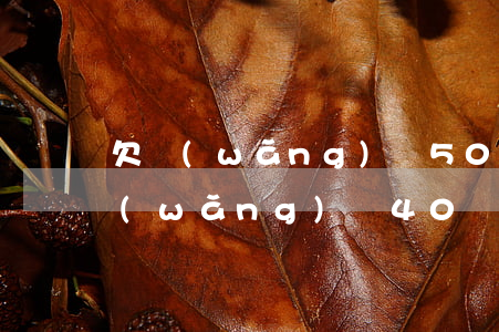 欠網(wǎng)貸50萬死了算了-欠網(wǎng)貸40萬死了算了