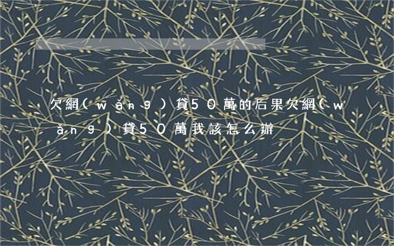 欠網(wǎng)貸50萬的后果(欠網(wǎng)貸50萬我該怎么辦)