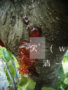 欠網(wǎng)貸5w有什么辦法能賺錢還清-欠網(wǎng)貸5w有什么辦法能賺錢還清嗎