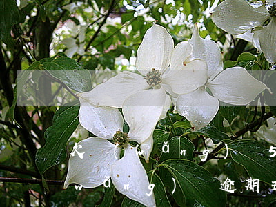 欠網(wǎng)貸5個(gè)月了(網(wǎng)貸逾期五個(gè)月)
