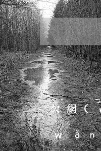 欠網(wǎng)貸5年多還能起訴嗎(網(wǎng)貸欠款兩年后可以起訴嗎)