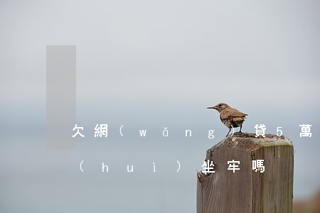 欠網(wǎng)貸5萬(wàn)以上會(huì)坐牢嗎