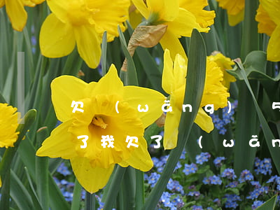 欠網(wǎng)貸5萬(wàn)想輕生了(我欠了網(wǎng)貸五萬(wàn)多不想活了)
