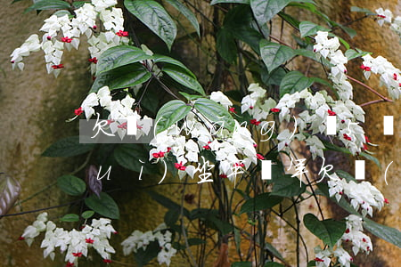 欠網(wǎng)貸5萬(wàn)會(huì)坐牢幾年(欠網(wǎng)貸兩萬(wàn)多會(huì)坐牢嗎)