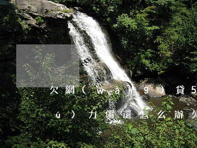 欠網(wǎng)貸5萬(wàn)無(wú)力償還怎么辦(欠網(wǎng)貸5萬(wàn)無(wú)力償還怎么辦)