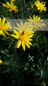 欠網(wǎng)貸5萬(wàn)逾期(欠網(wǎng)貸5萬(wàn)逾期3年)