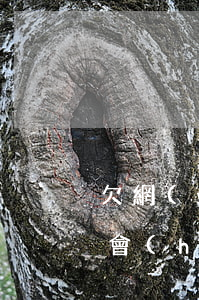 欠網(wǎng)貸5萬(wàn)還不起會(huì)坐牢嗎(網(wǎng)貸欠五萬(wàn)不還會(huì)坐牢不)