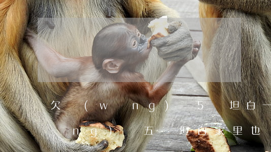 欠網(wǎng)貸5萬坦白一次(欠網(wǎng)貸五萬坦白家里也沒錢)