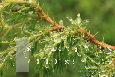 欠網(wǎng)貸5萬工資3000(工資4000欠5萬網(wǎng)貸)