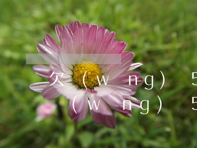 欠網(wǎng)貸5萬怎么和家里人坦白(網(wǎng)貸5萬怎么跟家里人坦白)