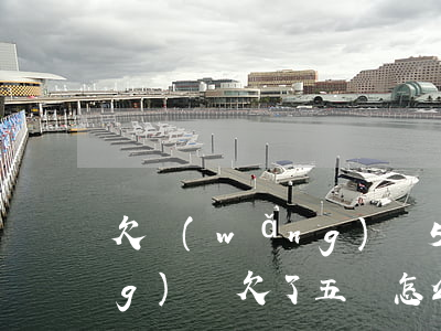 欠網(wǎng)貸5萬怎么還(網(wǎng)貸欠了五萬怎么辦)