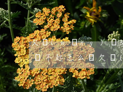 欠網(wǎng)貸5萬現(xiàn)在還不起怎么辦(欠網(wǎng)貸四五萬還不起怎么辦)