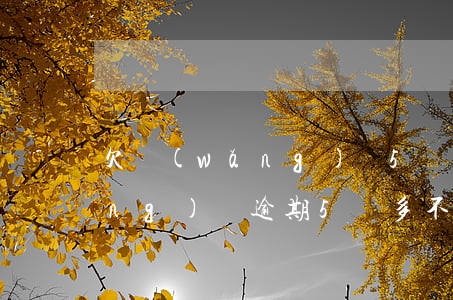 欠網(wǎng)貸5萬逾期3年(網(wǎng)貸逾期5萬多不還怎樣)