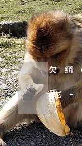 欠網(wǎng)貸5萬還不上我該怎么辦呢-欠網(wǎng)貸5萬還不上我該怎么辦呢視頻