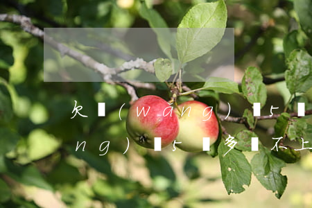 欠網(wǎng)貸5萬還不起(欠網(wǎng)貸5萬多還不上怎么辦)