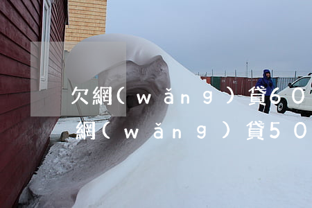 欠網(wǎng)貸6000元逾期1年了(網(wǎng)貸5000逾期一年)