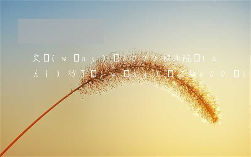 欠網(wǎng)貸6000被法院執(zhí)行了(網(wǎng)貸欠款600會(huì)被起訴嗎)