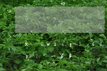 欠網(wǎng)貸600塊(欠網(wǎng)貸一百多萬)