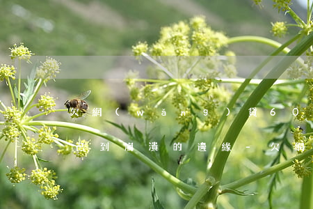 欠網(wǎng)貸60萬(wàn)精神已到崩潰的邊緣-欠網(wǎng)貸60萬(wàn)怎么辦
