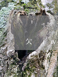 欠網(wǎng)貸62萬跟家里坦白了(欠網(wǎng)貸16萬跟父母坦白)