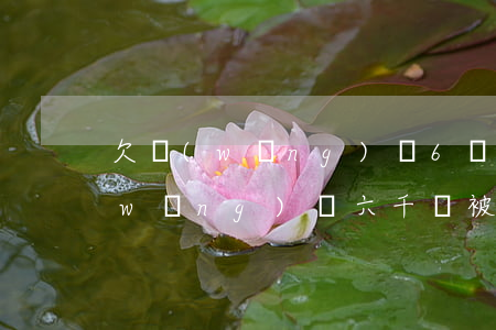 欠網(wǎng)貸6萬不還被起訴(欠網(wǎng)貸六千會被起訴嗎)