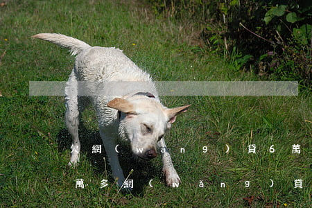欠網(wǎng)貸6萬塊錢怎么辦6(欠六萬多網(wǎng)貸有什么辦法)