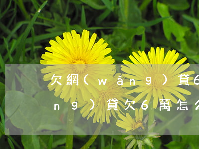 欠網(wǎng)貸6萬怎么解決(網(wǎng)貸欠6萬怎么還)