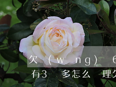 欠網(wǎng)貸6萬現(xiàn)在有3萬多怎么處理(欠網(wǎng)貸6萬現(xiàn)在有3萬多怎么處理)
