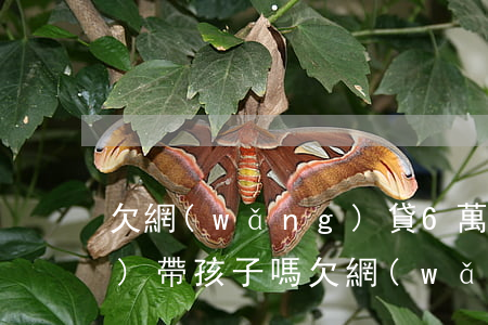 欠網(wǎng)貸6萬還不上會(huì)帶孩子嗎(欠網(wǎng)貸六千元不還會(huì)怎樣)