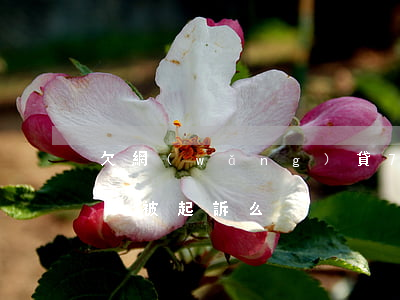欠網(wǎng)貸7000元會(huì)被起訴么