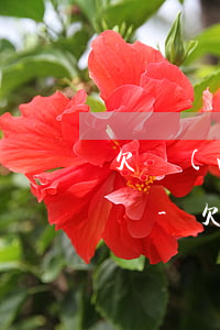 欠網(wǎng)貸7000多塊錢會登門嗎-欠網(wǎng)貸7000多塊錢會登門嗎知乎