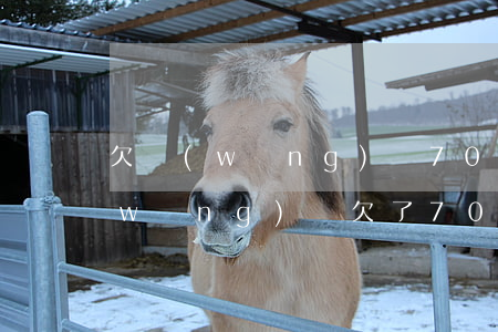 欠網(wǎng)貸700元會起訴嗎(網(wǎng)貸欠了7000被起訴)