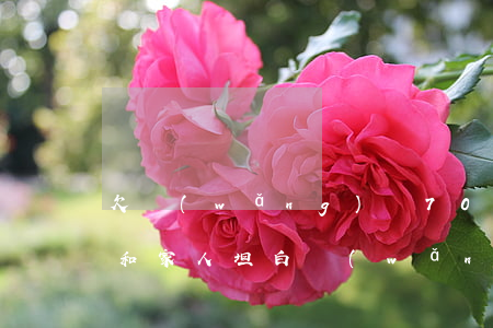 欠網(wǎng)貸70萬(wàn)怎么和家人坦白(網(wǎng)貸七八萬(wàn)怎么和家人坦白)