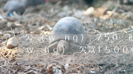 欠網(wǎng)貸750會被起訴嗎(網(wǎng)貸欠款15000會被起訴么)
