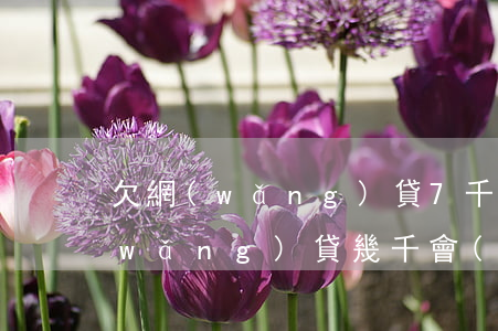 欠網(wǎng)貸7千要坐幾年牢(欠網(wǎng)貸幾千會(huì)坐牢嗎)