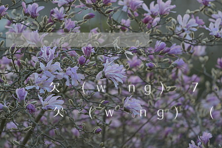 欠網(wǎng)貸7萬(wàn)還不上(欠網(wǎng)絡(luò)貸款7萬(wàn)還不上怎么辦)