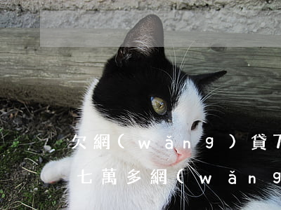 欠網(wǎng)貸7萬不還的真實案例(欠七萬多網(wǎng)貸怎么辦)