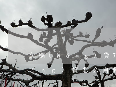 欠網(wǎng)貸7萬自救(欠很多網(wǎng)貸怎么自救)