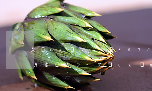 欠網(wǎng)貸80003個(gè)月要還多少-欠網(wǎng)貸80003個(gè)月要還多少錢