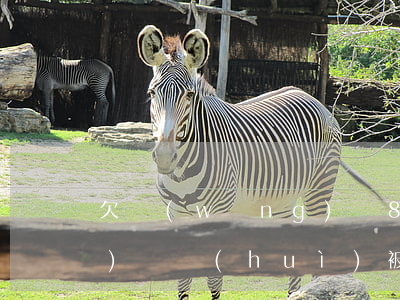 欠網(wǎng)貸8000元沒(méi)還會(huì)被起訴嗎-欠網(wǎng)貸8000元沒(méi)還會(huì)被起訴嗎知乎