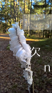 欠網(wǎng)貸8000坐牢(欠網(wǎng)貸一萬多會(huì)坐牢嗎)