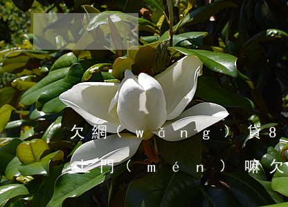欠網(wǎng)貸8000會(huì)上門(mén)嘛(欠網(wǎng)貸一千多會(huì)上門(mén)嗎)