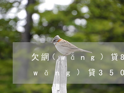 欠網(wǎng)貸8000還不上(欠網(wǎng)貸35000不還有什么后果)