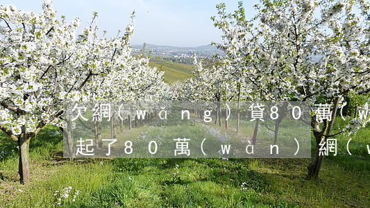欠網(wǎng)貸80萬(wàn)還不起了(80萬(wàn)網(wǎng)貸無(wú)法還怎么辦)