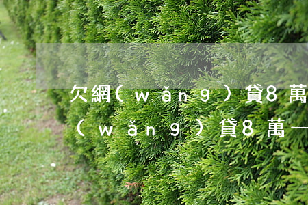 欠網(wǎng)貸8萬一月能賺多少(欠網(wǎng)貸8萬一月能賺多少)