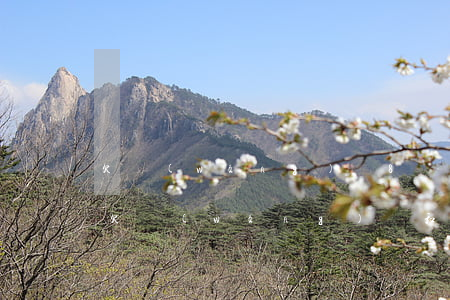 欠網(wǎng)貸8萬元坦白家人幫不了(欠網(wǎng)貸和家里人坦白)