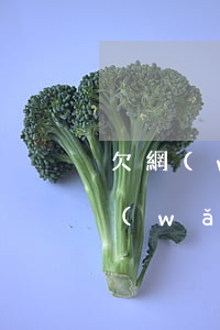 欠網(wǎng)貸8萬報警有用嗎(欠了網(wǎng)貸報警有用嗎)