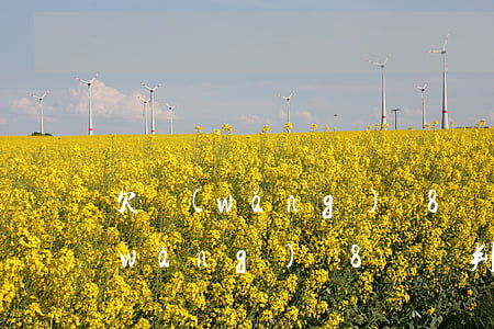 欠網(wǎng)貸8萬塊判刑多久(欠網(wǎng)貸8萬塊判刑多久)