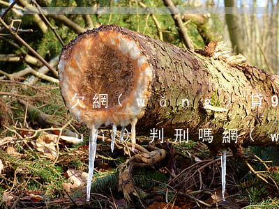 欠網(wǎng)貸9萬(wàn)會(huì)判刑嗎(網(wǎng)貸欠9萬(wàn)分期還不起怎么辦)